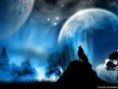 /album/fenykepgaleria/farkas-vonyitas-52050971c5aa5b951f005b24-thumb-top-center-138x104-true-jpg/